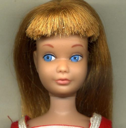 Boneka Skipper Barbie